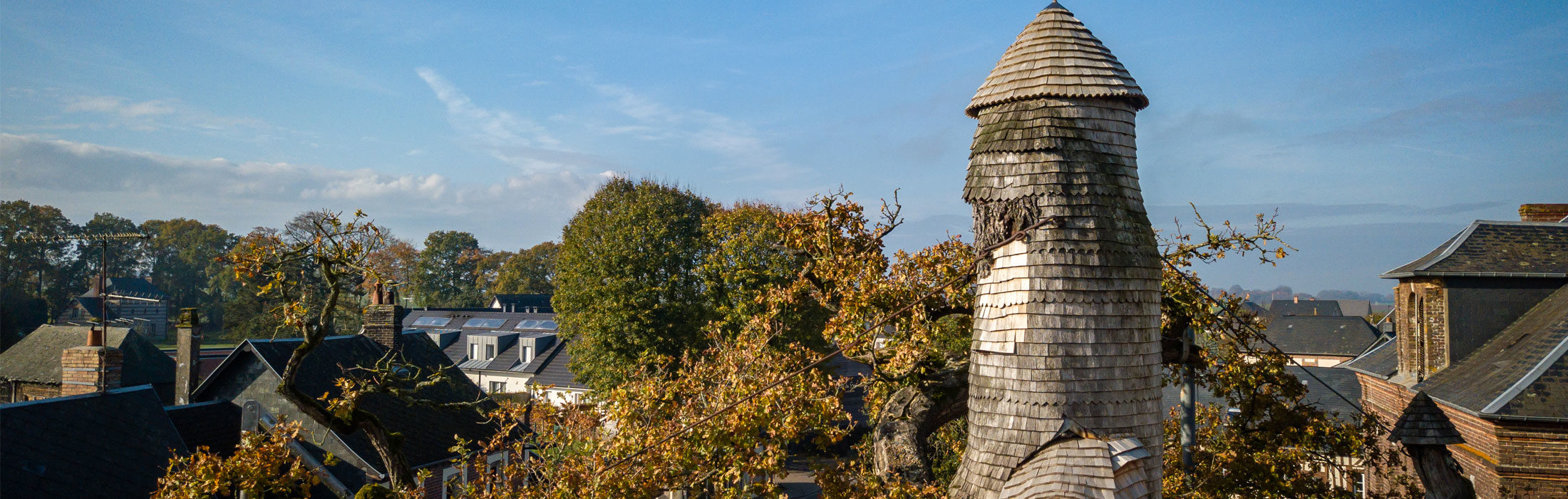 
It's 1,200 years old and owes its fame to its exceptional age and the veneration it has enjoyed since the Middle Ages.  



 In 1696, the village 1