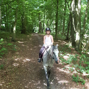 Horse riding