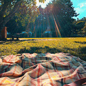 Picnic