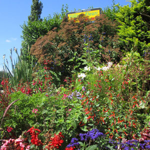 Wander the streets of a flower-filled village